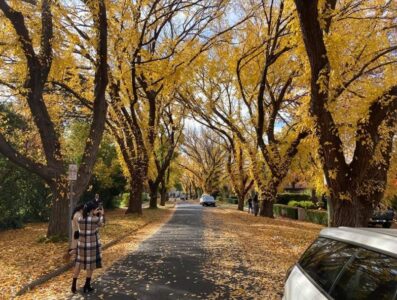 Inner south launches new bid to ward off further densification